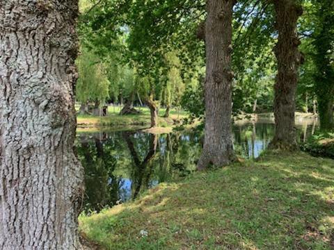 La Demeure Romantique Bazouges-sous-Hede Eksteriør bilde